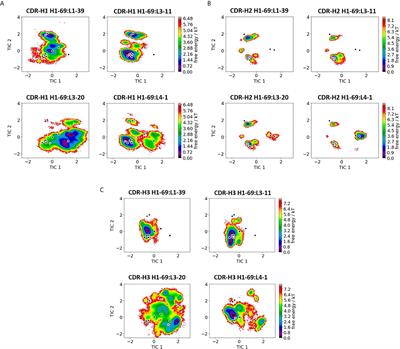 Germline-Dependent Antibody Paratope States and Pairing Specific VH-VL Interface Dynamics